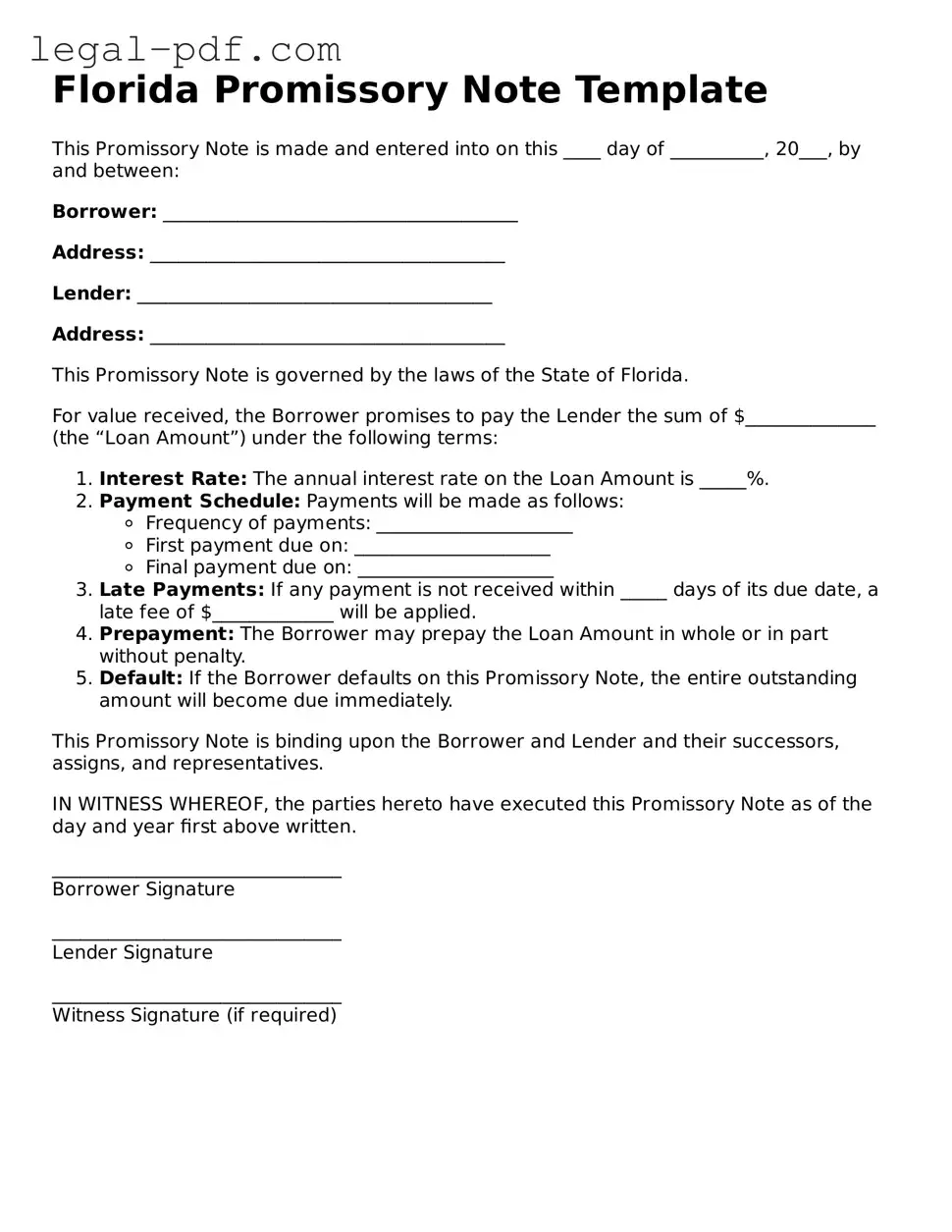 Legal  Promissory Note Document for Florida