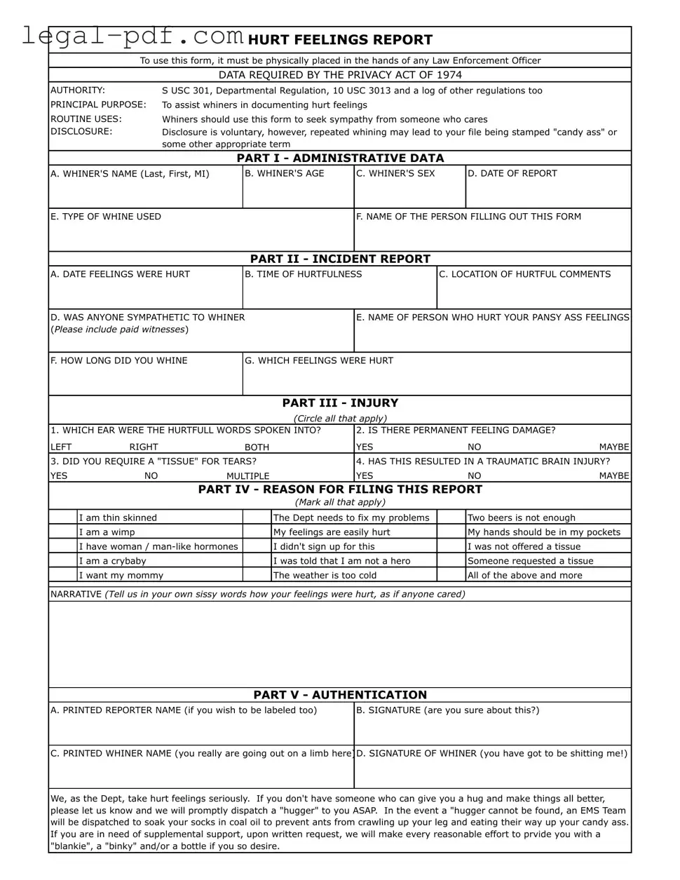 Blank Hurt Feelings Report Form