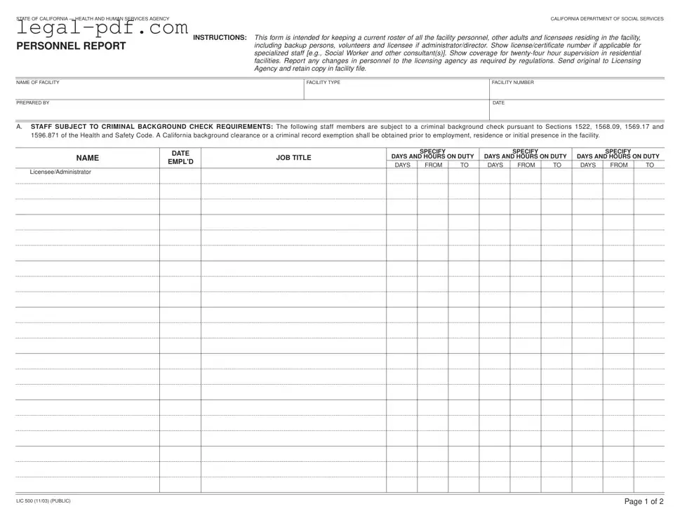 Blank Lic 500 Form