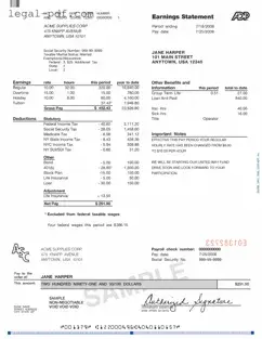 Blank Adp Pay Stub Form