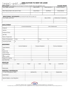Blank Aoa 100A Form