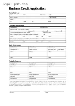 Blank Business Credit Application Form
