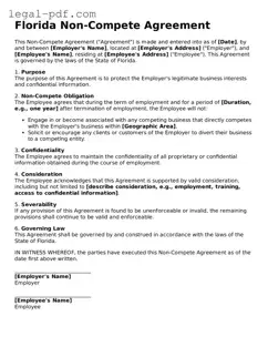 Legal  Non-compete Agreement Document for Florida