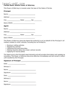 Legal  Motor Vehicle Power of Attorney Document for Florida