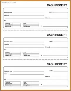 Blank Cash Receipt Form