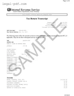 Blank Sample Tax Return Transcript Form