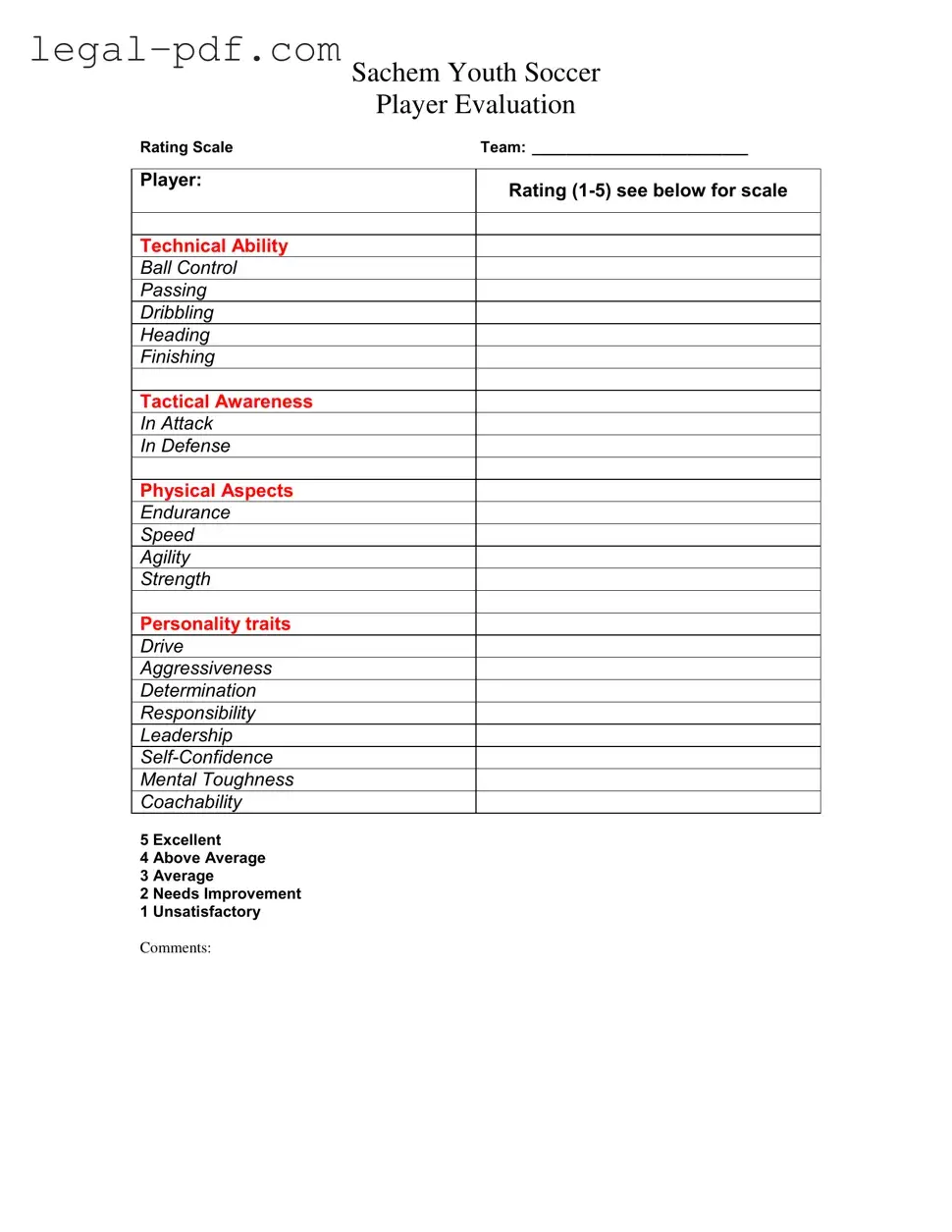 Blank Soccer Player Evaluation Form